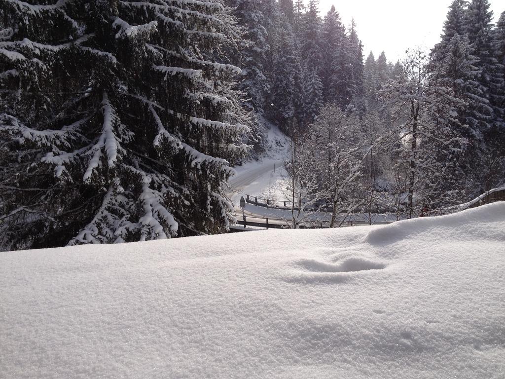 Ferienwohnung Laax Mit Traumblick, Grossem Balkon Und Terrasse מראה חיצוני תמונה